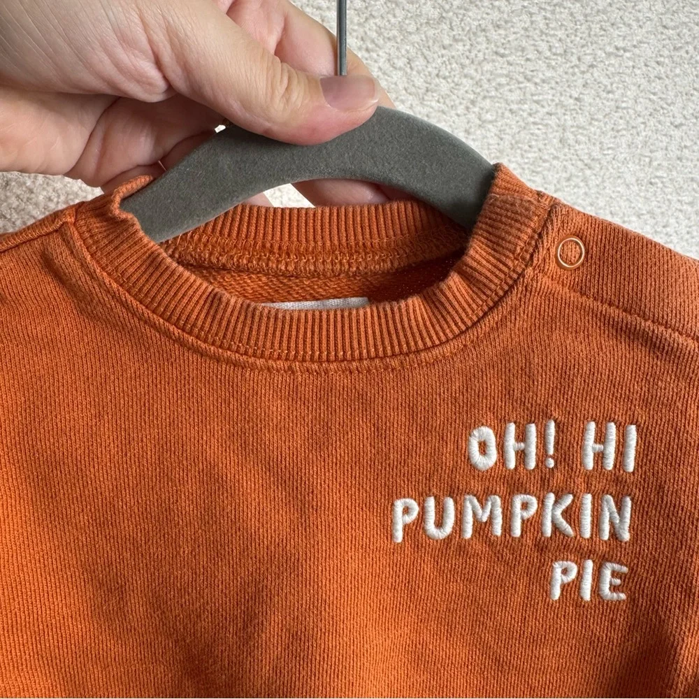 Oh Hi Pumpkin Pie Harvest Orange Long‎ Sleeve Sweatshirt Body Suit Size 3 months